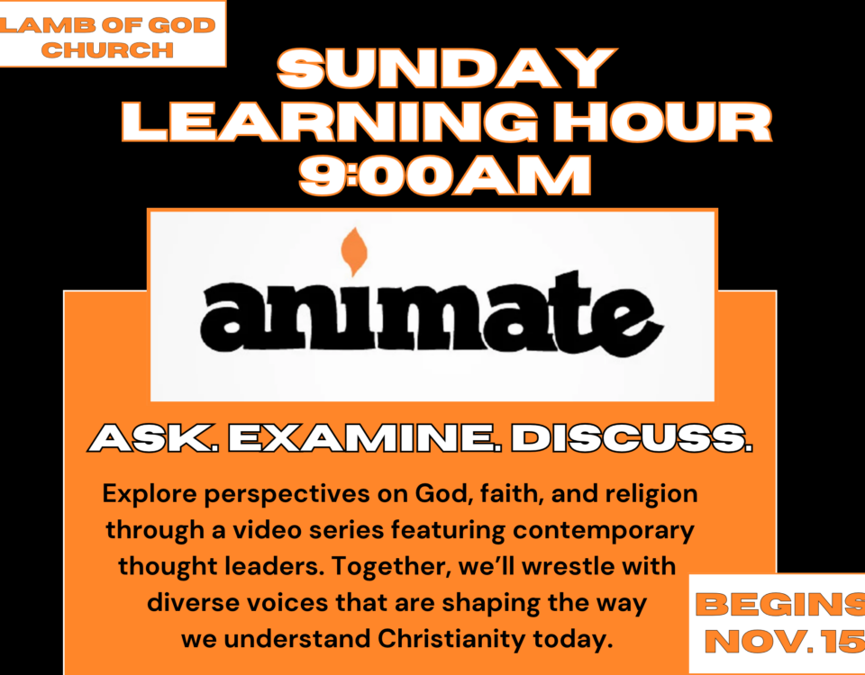 Animate Series (2)