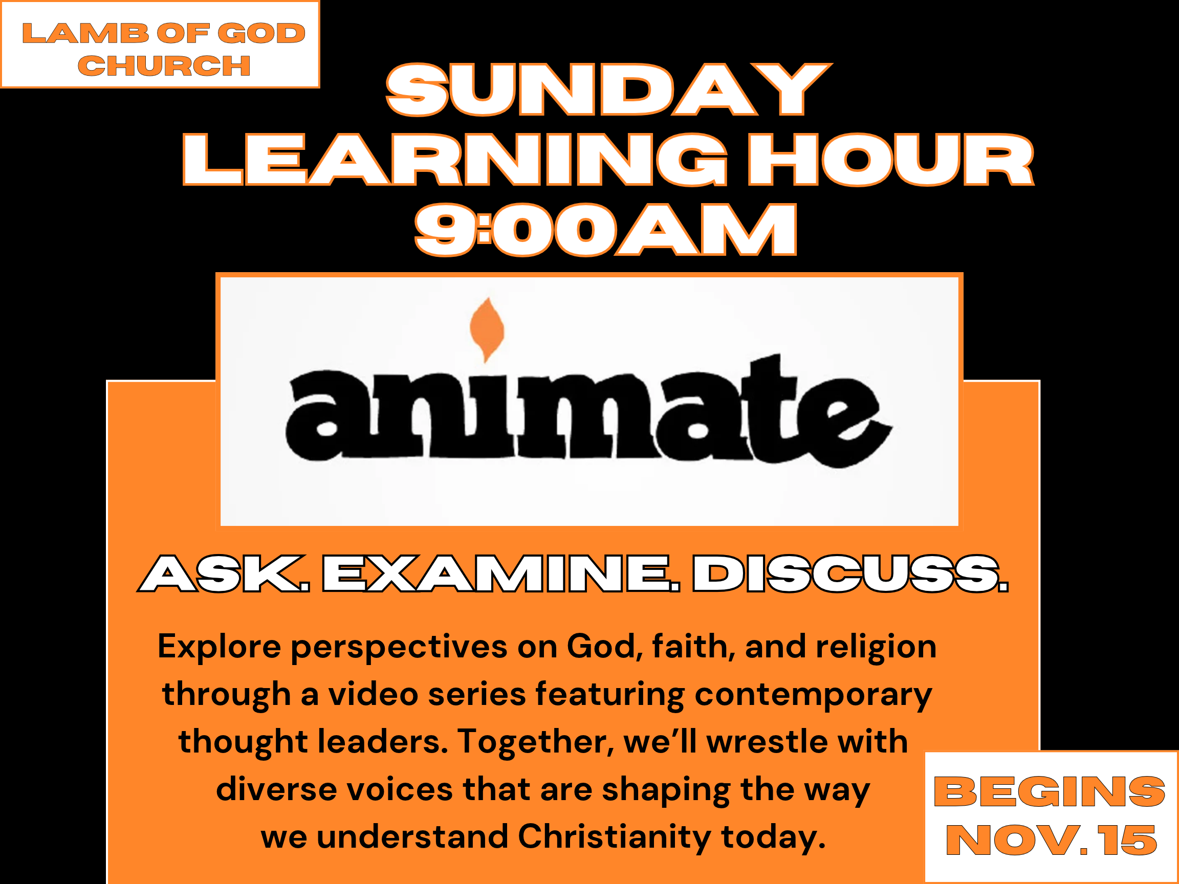 Animate Series (2)