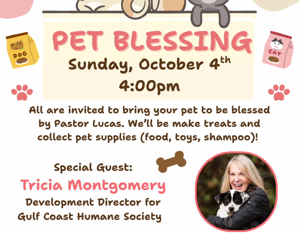 Pet Blessing (2)